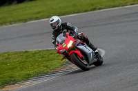 PJ-Motorsport-2019;anglesey-no-limits-trackday;anglesey-photographs;anglesey-trackday-photographs;enduro-digital-images;event-digital-images;eventdigitalimages;no-limits-trackdays;peter-wileman-photography;racing-digital-images;trac-mon;trackday-digital-images;trackday-photos;ty-croes